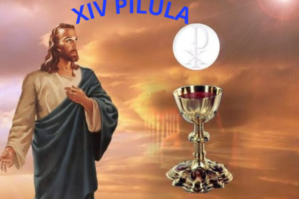 XIV Pílula Cristã